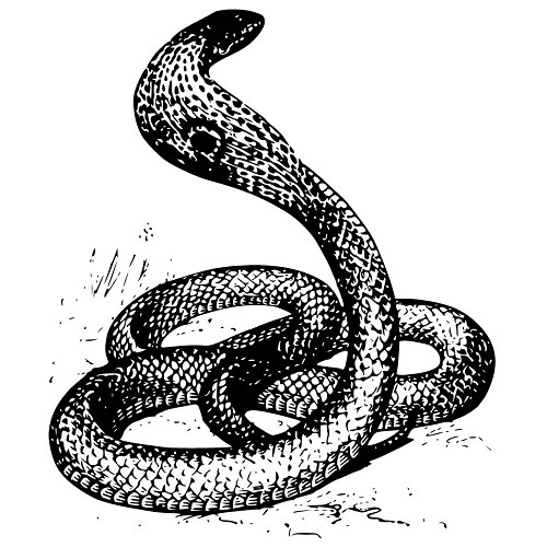 significado de la cobra