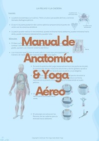 anatomía y yoga
